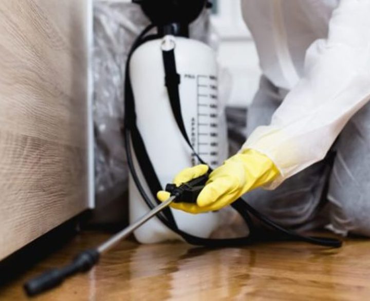 Integrated pest management Kenya using monitoring and preventive pest control methods in a commercial facility