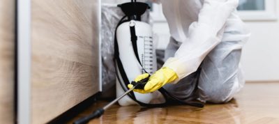 Professional fumigation services Nairobi by Flash Services Limited, providing PCPB-licensed pest control for offices, restaurants, hotels, warehouses, schools and residential properties across Nairobi and surrounding areas.