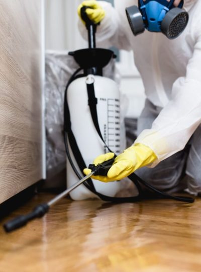 The-Importance-of-Pest-Control-in-Libraries-e1574699832585