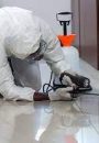 Integrated Pest Management (IPM) services by Flash Services in Nairobi, providing PCPB-licensed pest inspection, monitoring, targeted treatment and prevention for commercial, industrial and residential properties across Kenya.