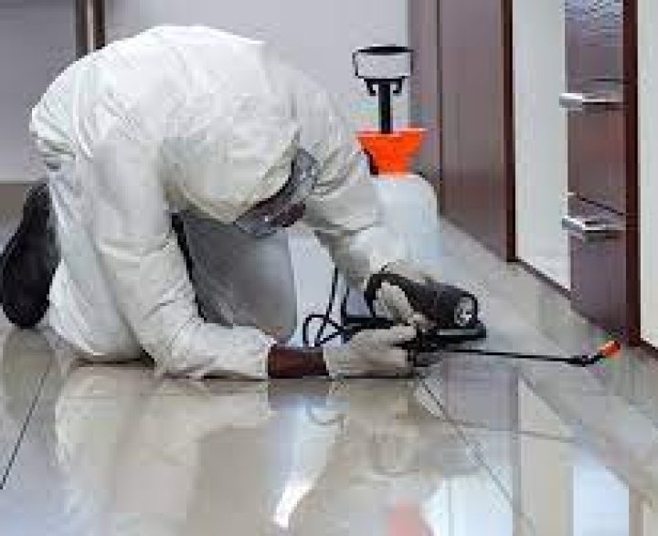 Integrated Pest Management (IPM) services by Flash Services in Nairobi, providing PCPB-licensed pest inspection, monitoring, targeted treatment and prevention for commercial, industrial and residential properties across Kenya.
